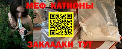 индика Дубна
