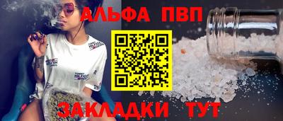 гашик Донской
