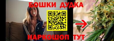 индика Дубна