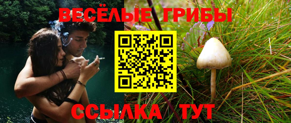 Псилоцибиновые грибы Psilocybine cubensis  Вход с VPN  Нефтеюганск  Галлюциногенные грибы GOLDEN TEACHER 